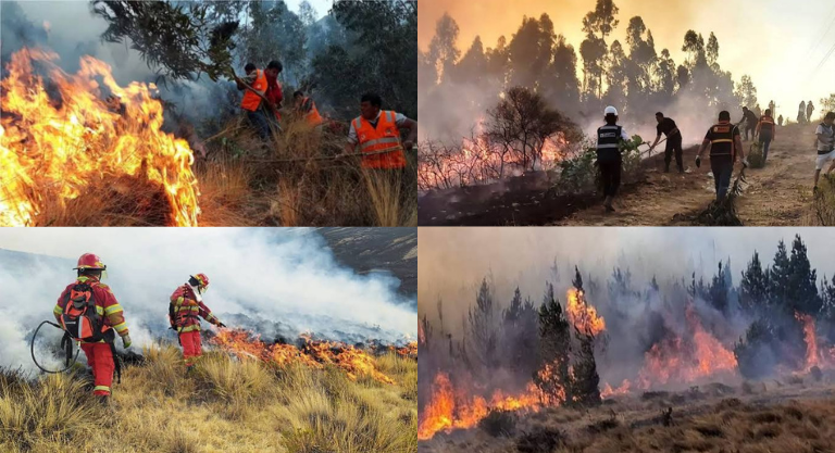 Incendios forestales: 13 siniestros en siete regiones en solo dos días