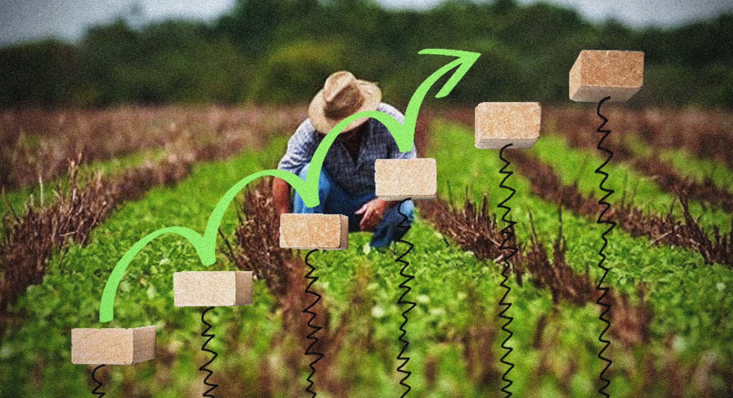Agricultor en su sembrío
